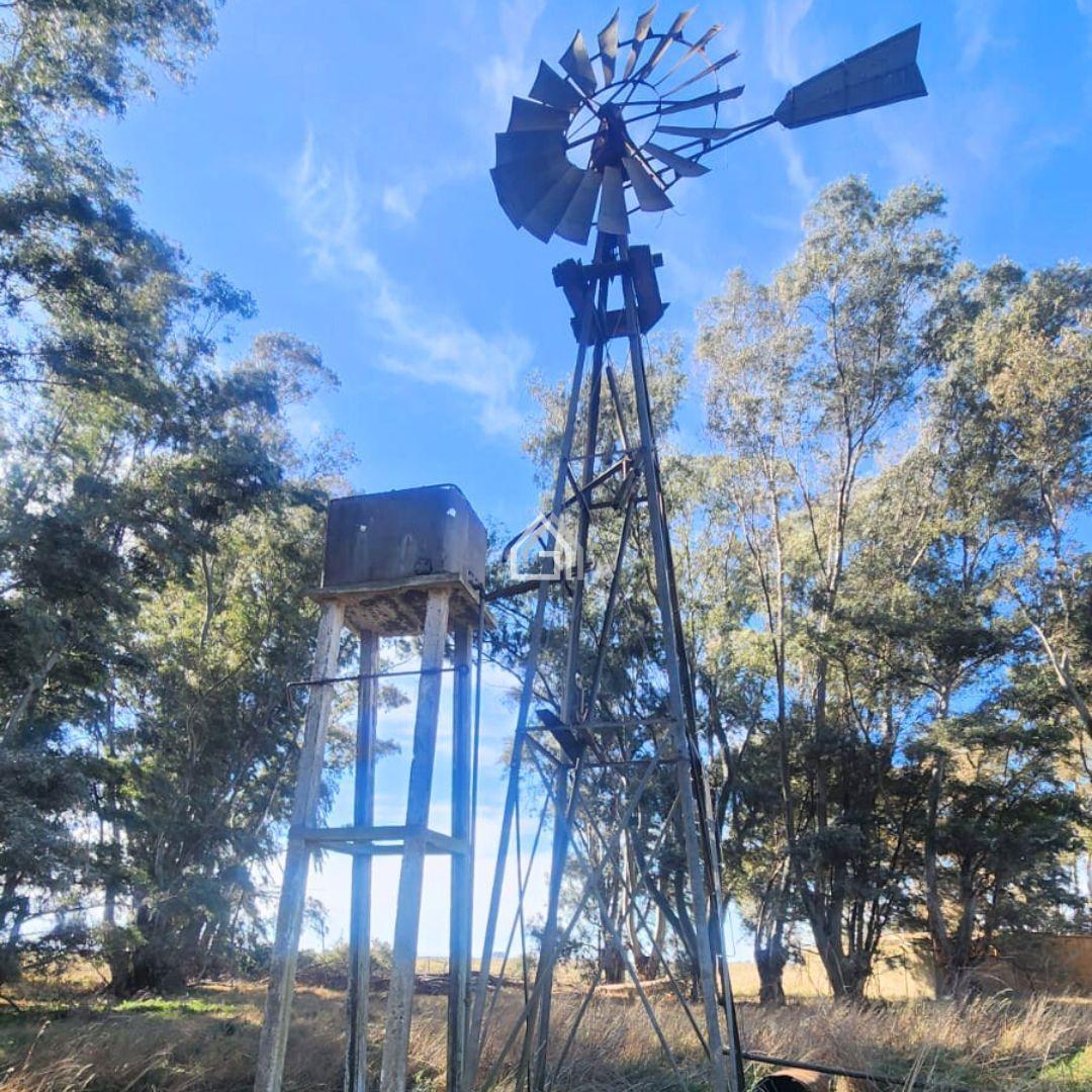 Foto de Campo en Benito Juarez Venta, imagen 5