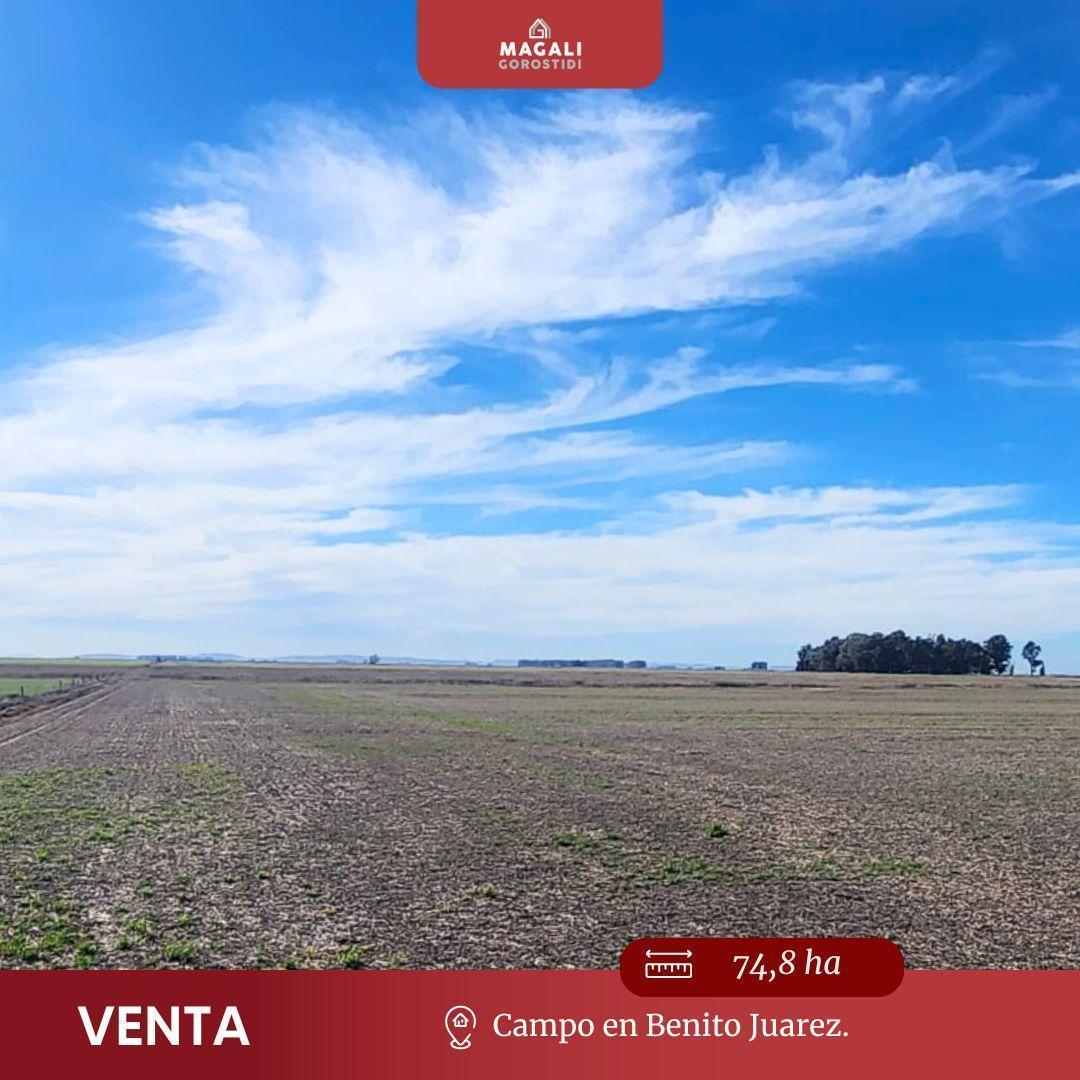 Foto de Campo en Benito Juarez Venta, imagen 1