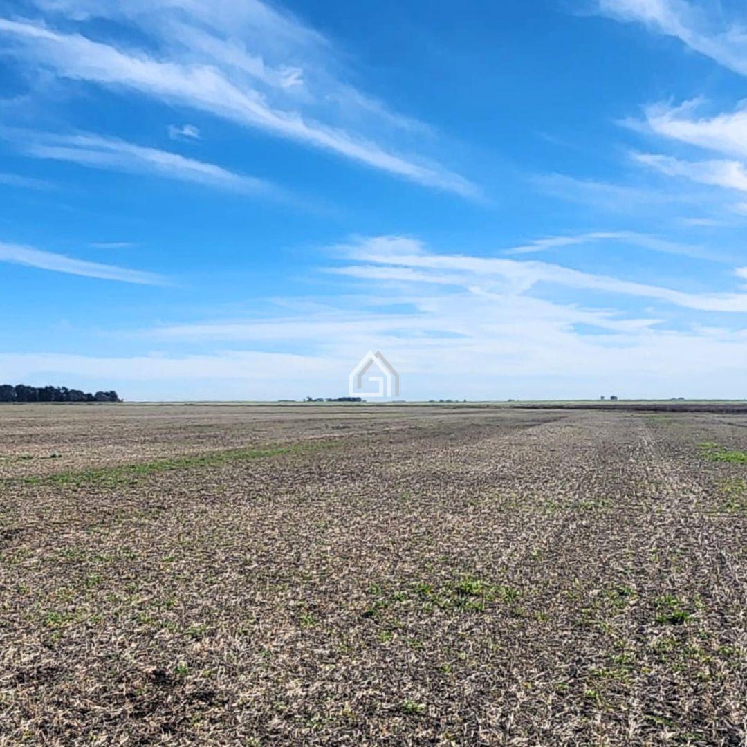 Foto de Campo en Benito Juarez Venta, imagen 3