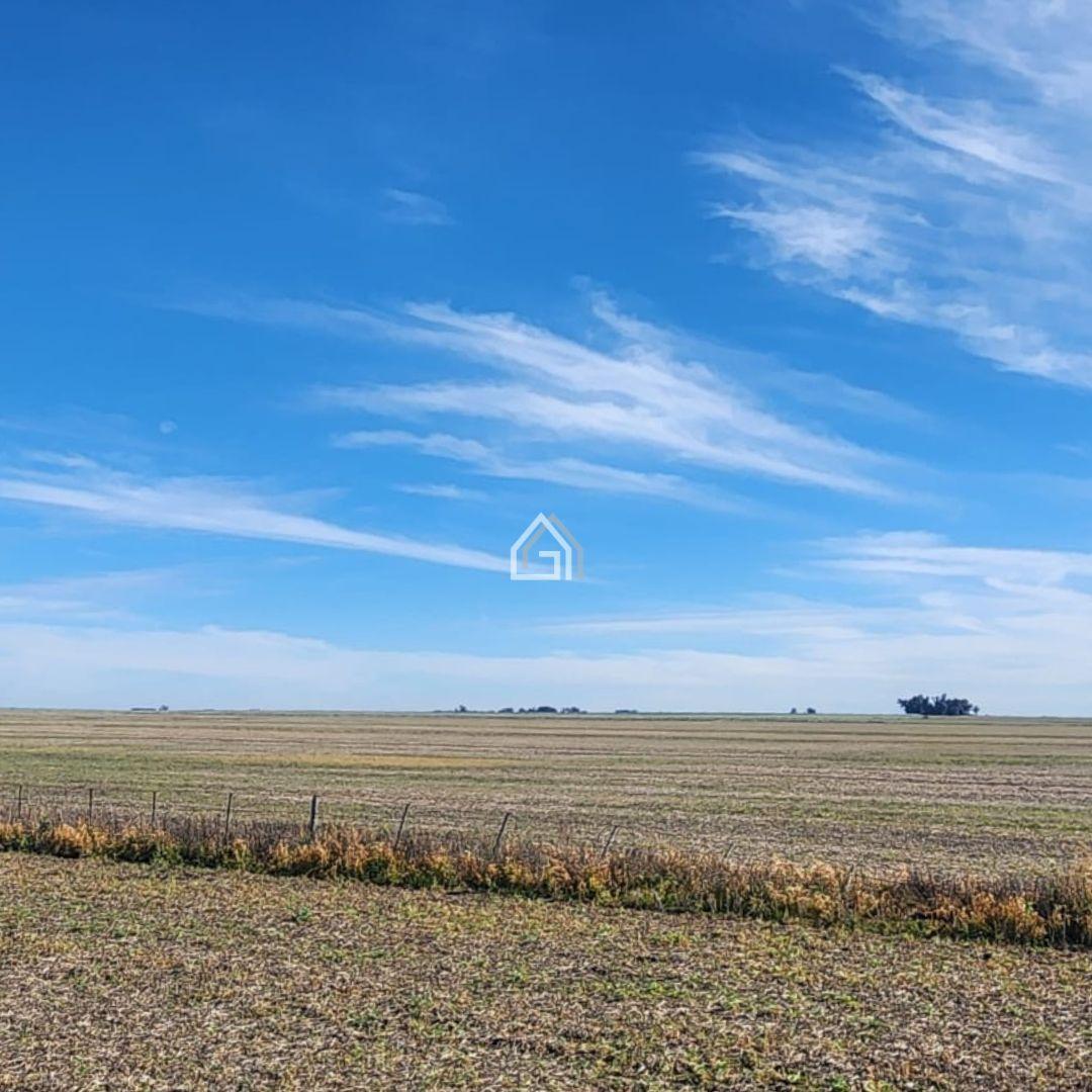 Foto de Campo en Benito Juarez Venta, imagen 2