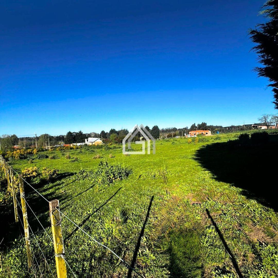 Foto de Terreno en Tandil, imagen 3