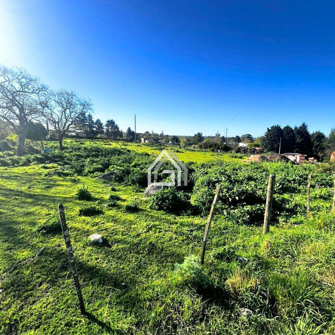 Foto de Terreno en Tandil, imagen 1