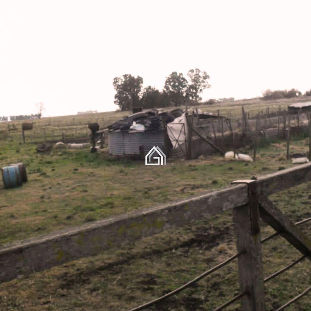 Foto de Casa en Adolfo Gonzales Chaves, imagen 4