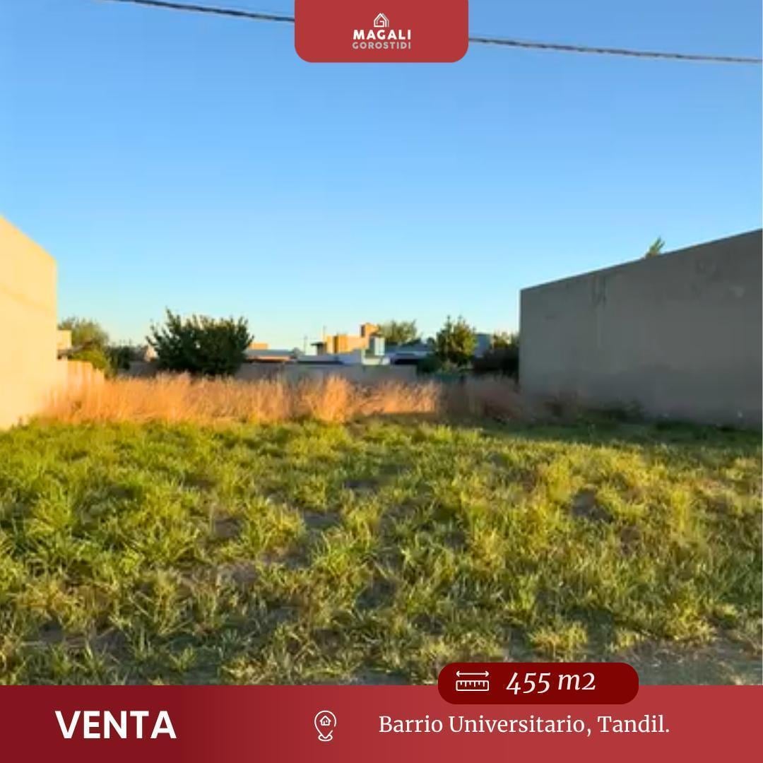 Foto de Terreno Barrio Universitario, imagen 2