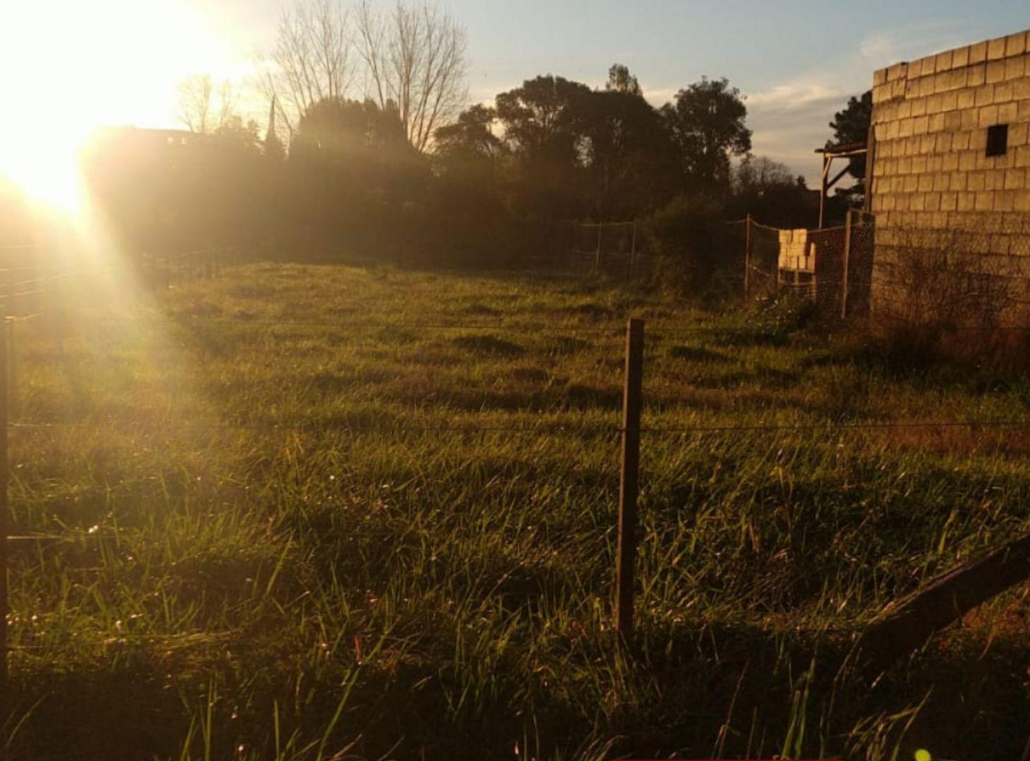 Foto de Terreno - Tandil, imagen 2