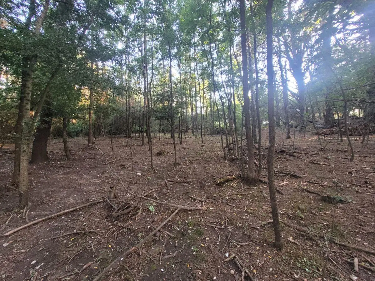 Campito de 2,5 Ha en Villa Berna, Calamuchita, Córdoba 4