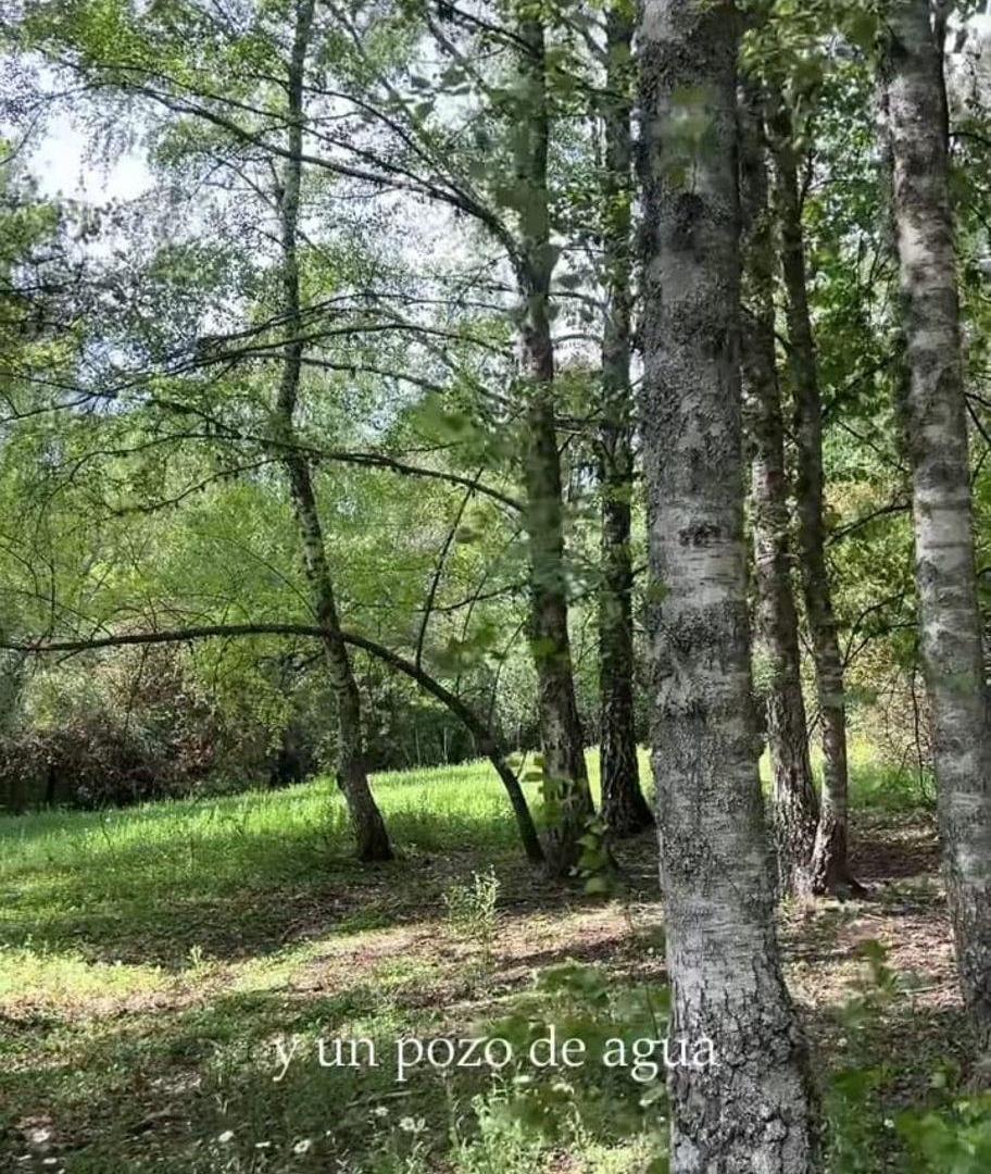 Foto de Fracción de 1.2 Ha en Villa Berna, imagen 2
