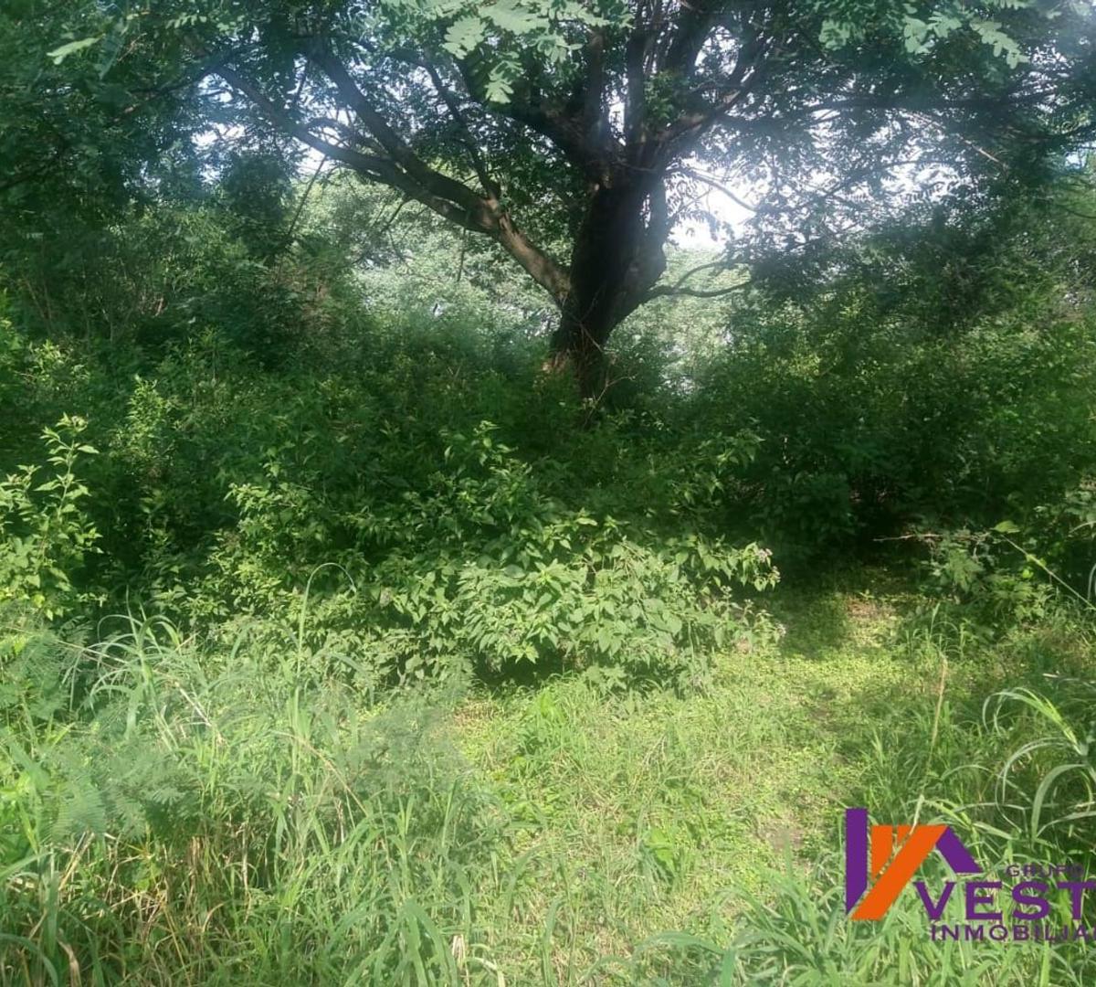 Zona Oeste - Ideal Inversion - 4.1 Hectarea - Venta 3