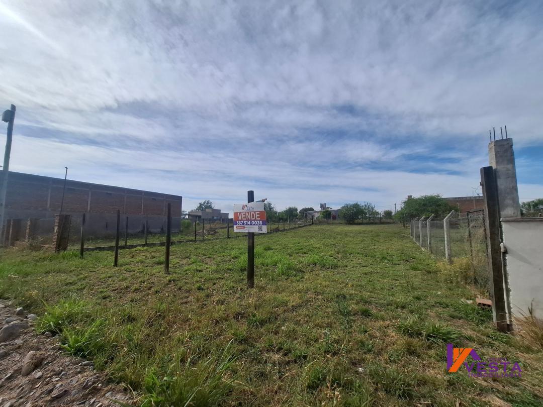 Foto de LOS NOGALES-TERRENO-VENTA-RUTA 24-SALTA, imagen 5