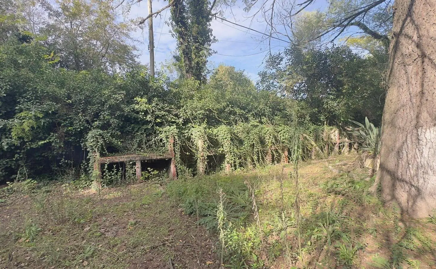 VENTA - Terreno Benavidez | 21.180m2 | a Panamericana. Ideal Desarrollo 3