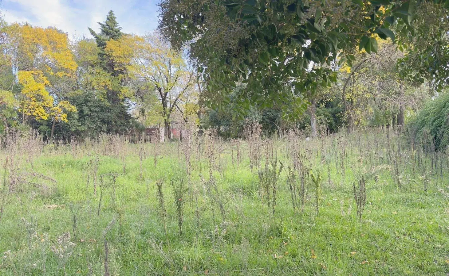 VENTA - Terreno Benavidez | 21.180m2 | a Panamericana. Ideal Desarrollo 2
