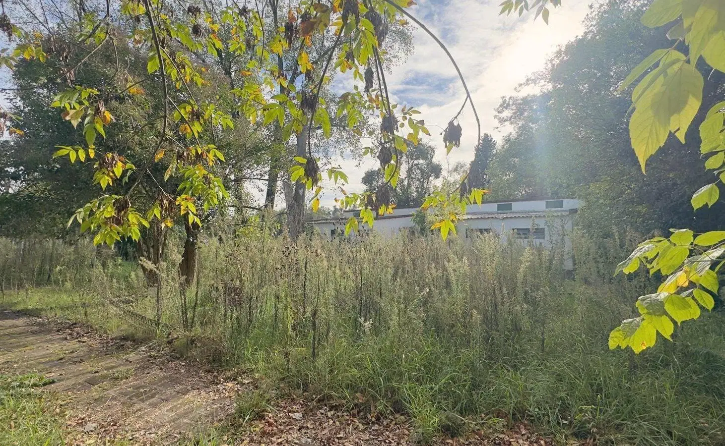 VENTA - Terreno Benavidez | 21.180m2 | a Panamericana. Ideal Desarrollo 2