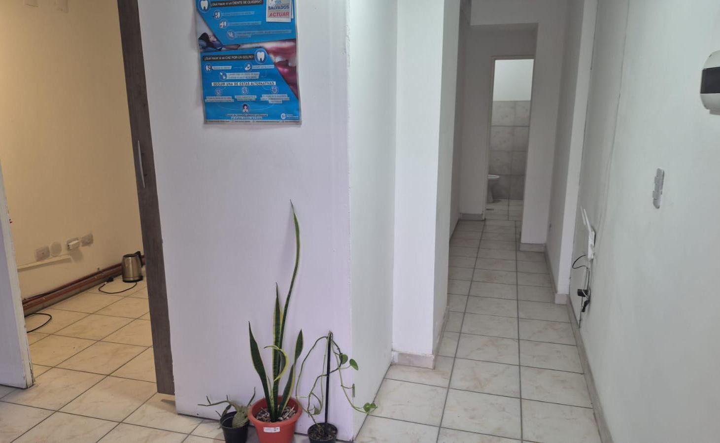 Foto de LOCAL COMERCIAL EN ALQUILER, imagen 2