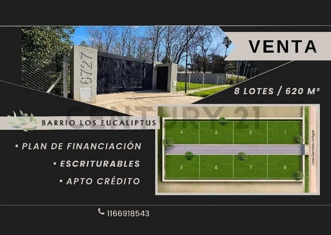 VENTA DE LOTES CON ESCRITURA INMEDIATA 3