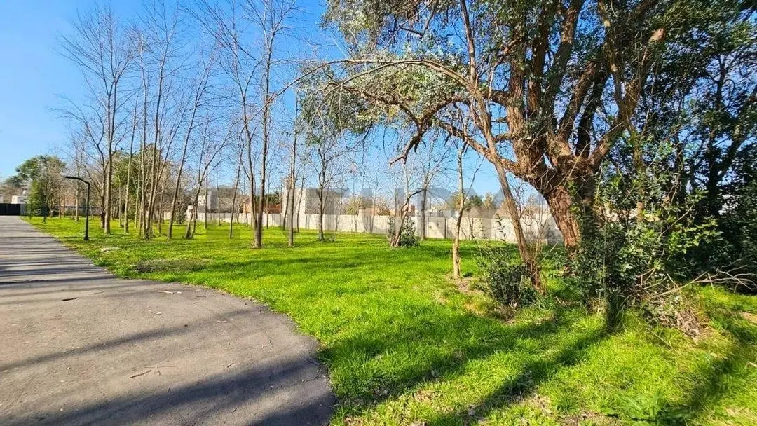 VENTA DE LOTES CON ESCRITURA INMEDIATA 5