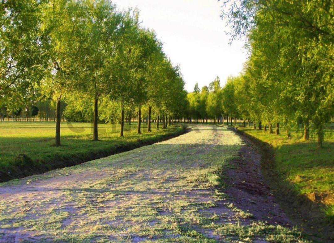 Foto de VENTA LOTE 1200 M2 EN POSADA DE LOS LAGOS CORONEL BRANDSEN FRENTE A LA, imagen 3