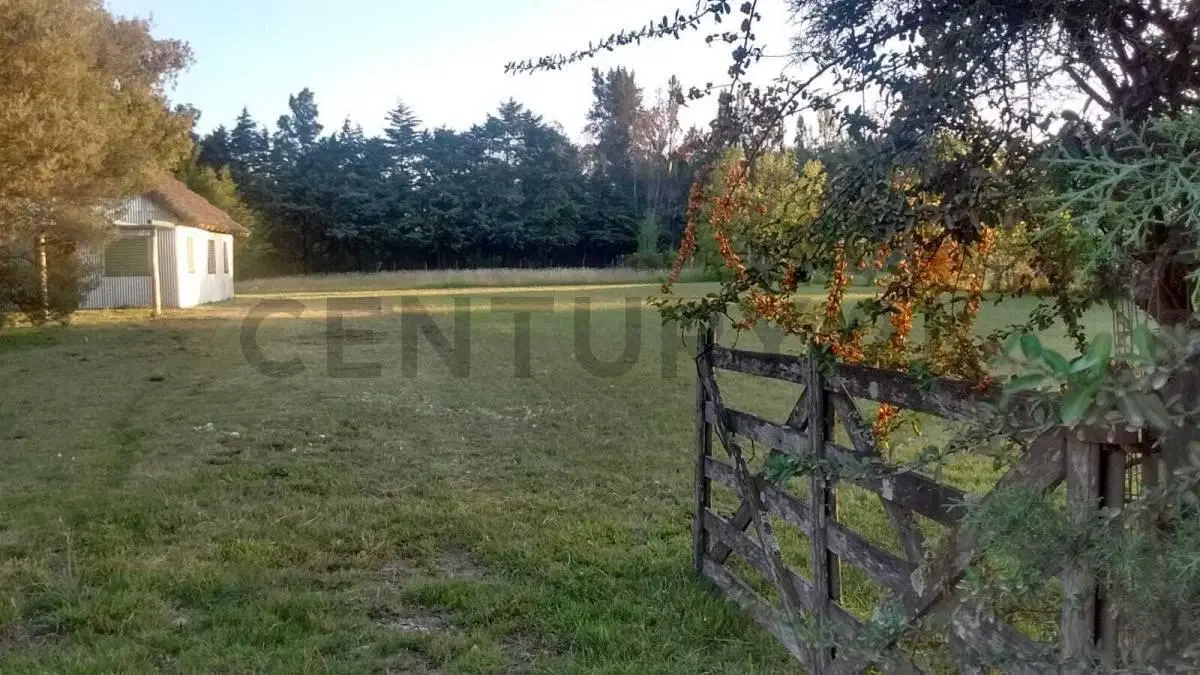 ???? OPORTUNIDAD ÚNICA EN PILAR – 4.046 m² SOBRE COLECTORA IDEAL INVERSIÓN 2