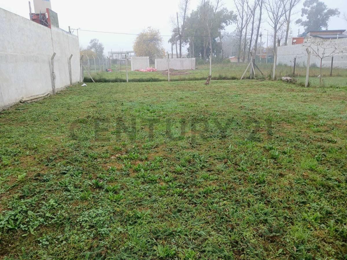 Foto de Venta Terreno en Tristan Suárez, imagen 3