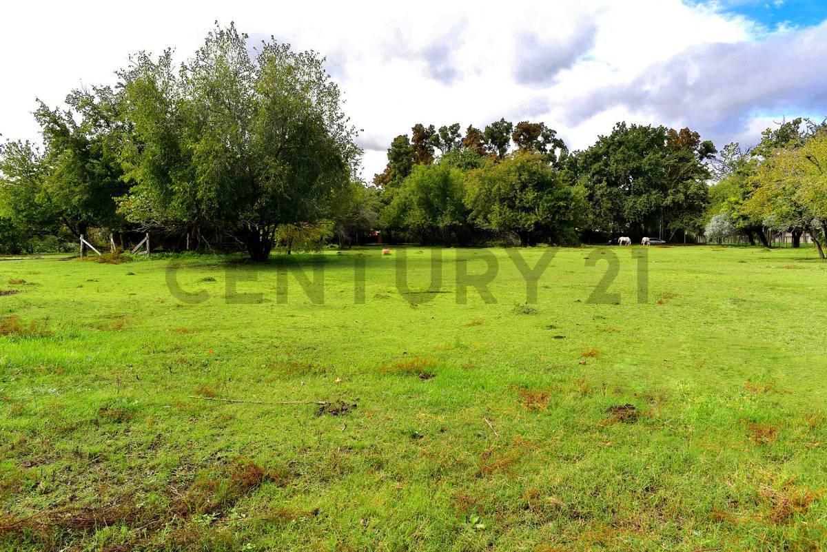 Foto de VENTA LOTE 1001M2 TORTUGUITAS CENTRO ESCRITURA, imagen 3