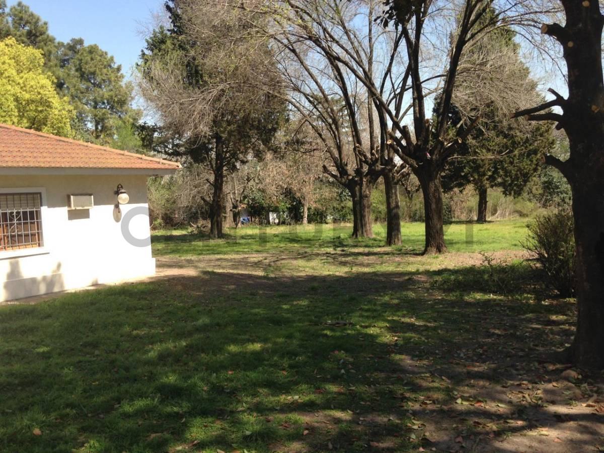 Foto de ALQUIER ANUAL QUINTA 4 AMBIENTES 7731 M2 EN BENAVIDEZ, imagen 4