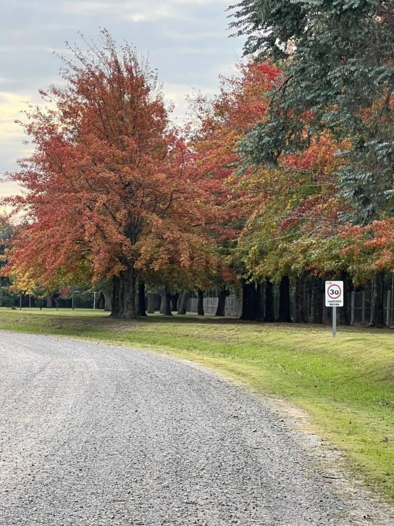 Foto de Lote en Venta en Chacras La Primavera Golf, Carlos Keen (Luján), imagen 4