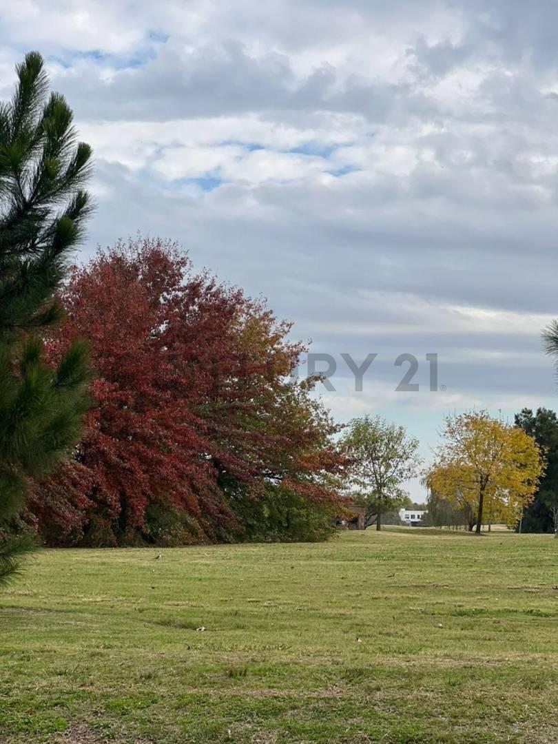 Foto de Lote en Venta en Chacras La Primavera Golf, Carlos Keen (Luján), imagen 5
