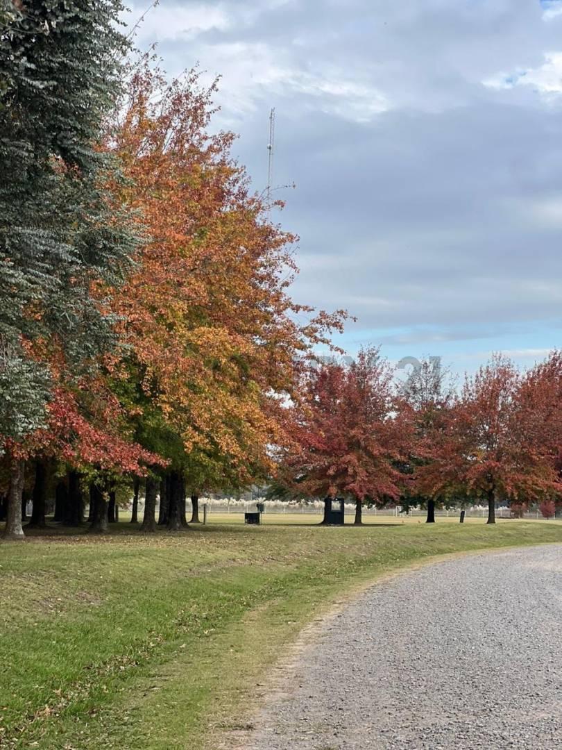 Foto de Lote en Venta en Chacras La Primavera Golf, Carlos Keen (Luján), imagen 3
