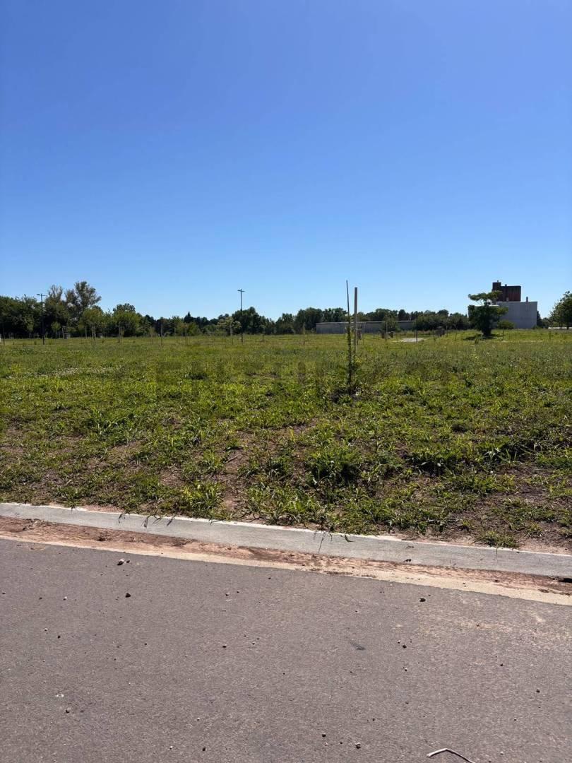 Foto de Lote en Barrio la posta pilar, imagen 5