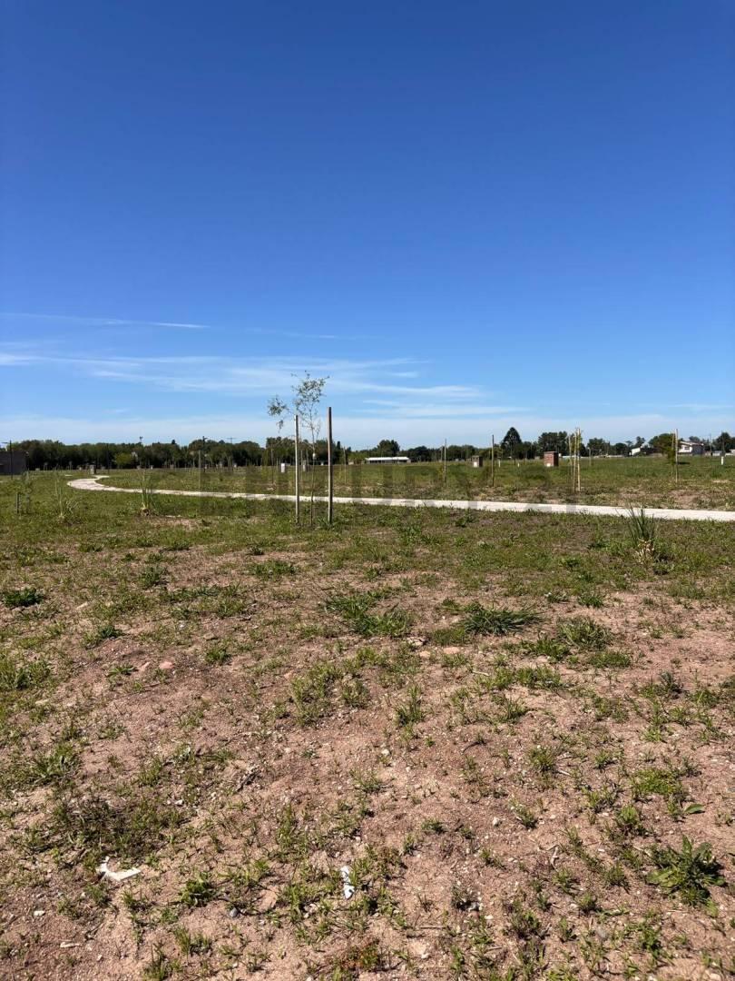 Foto de Lote en Barrio la posta pilar, imagen 3