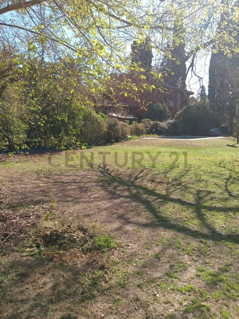 Foto de AMPLIO LOTE CON PILETA Y CASA EN LA BOTA, BENAVÍDEZ, imagen 5