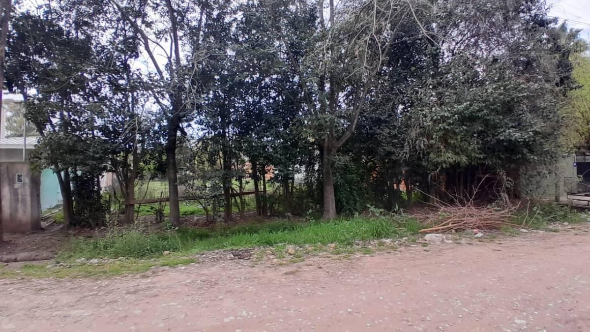 Foto de VENTA LOTE EXCELENTE UBICACION DEL VISO, imagen 3