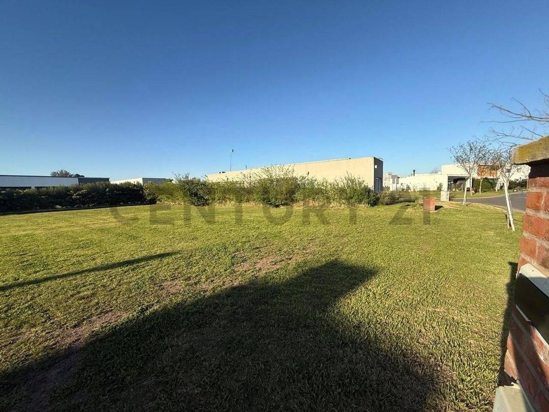 Foto de VENTA LOTE 483 M2 PILAR DEL ESTE BARRIO SAN RAMON, imagen 5