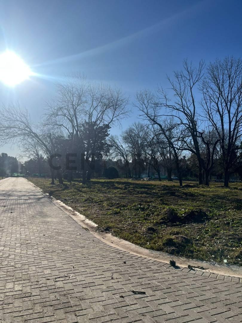 Foto de Lote en venta en José C. Paz – Excelente ubicación, imagen 4
