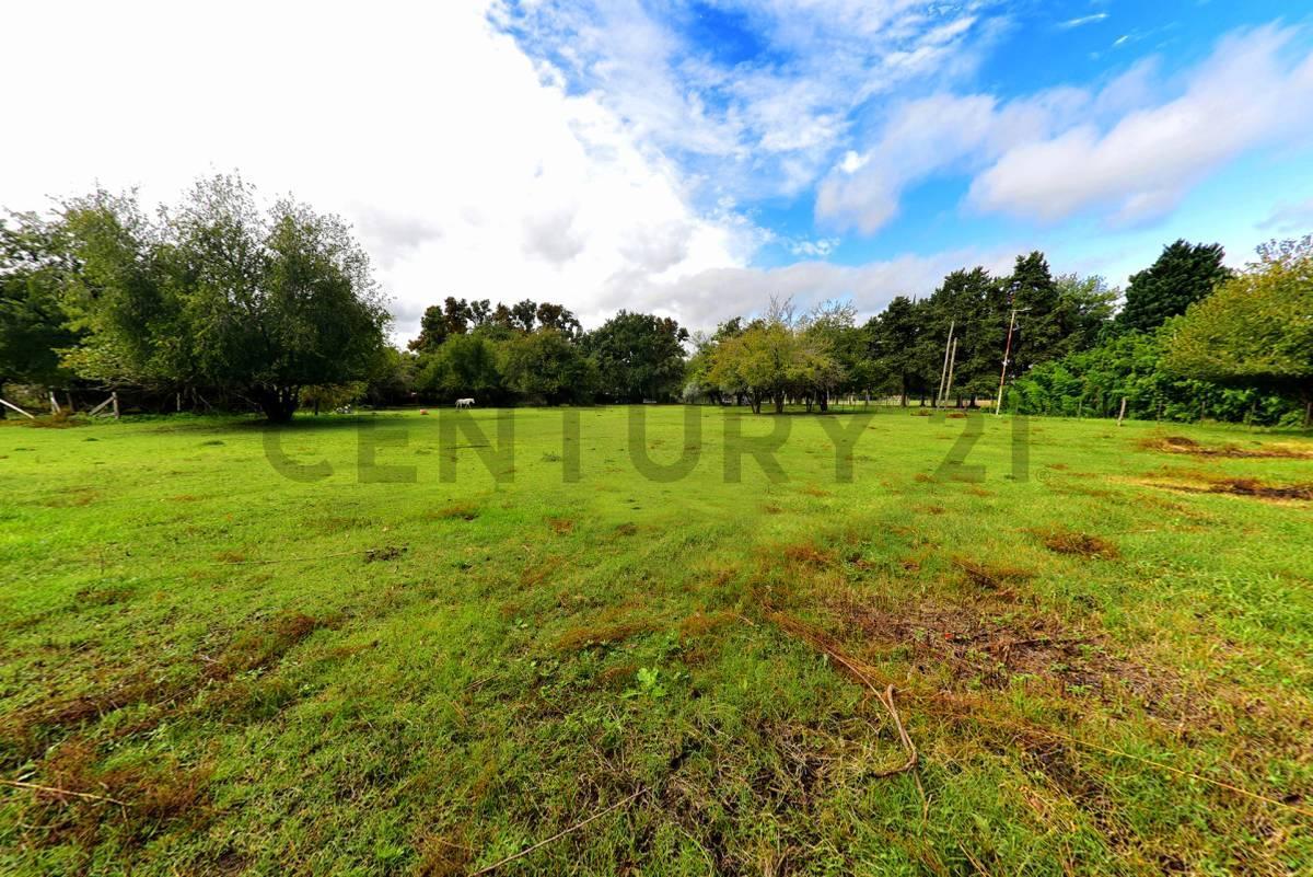 Foto de VENTA LOTE 1001M2 TORTUGUITAS CENTRO ESCRITURA, imagen 5