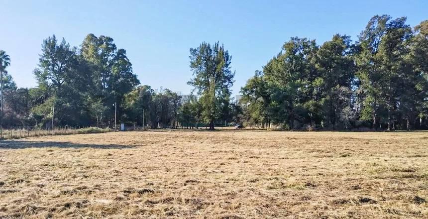 Foto de VENTA DE CAMPO BRANDSEN 2.5 HECTAREAS INVERSOR, imagen 3