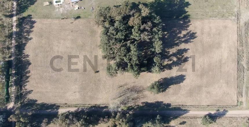 Foto de VENTA DE CAMPO BRANDSEN 2.5 HECTAREAS INVERSOR, imagen 1