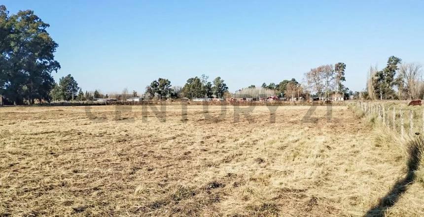 Foto de VENTA DE CAMPO BRANDSEN 2.5 HECTAREAS INVERSOR, imagen 4