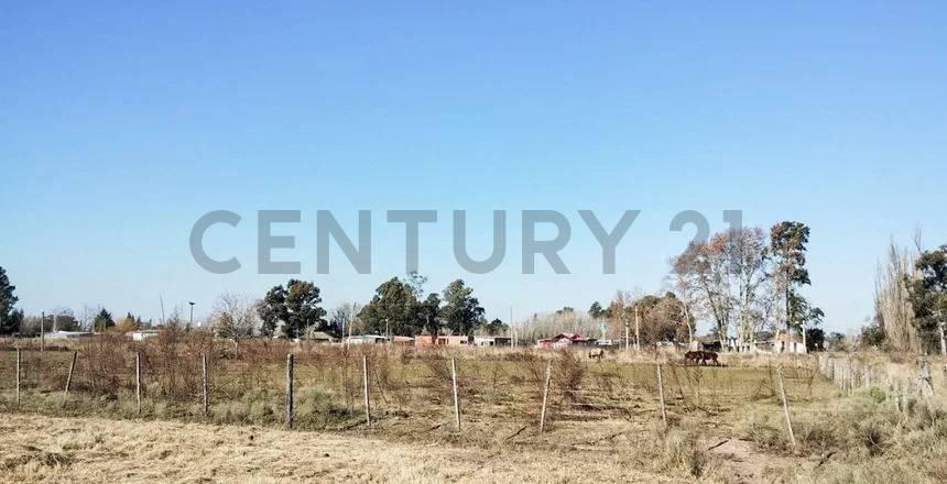 Foto de VENTA DE CAMPO BRANDSEN 2.5 HECTAREAS INVERSOR, imagen 5