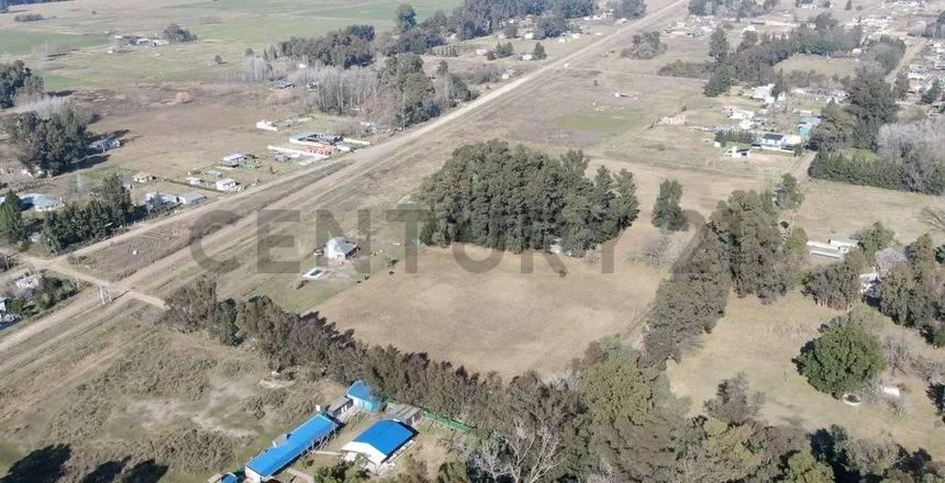 Foto de VENTA DE CAMPO BRANDSEN 2.5 HECTAREAS INVERSOR, imagen 2