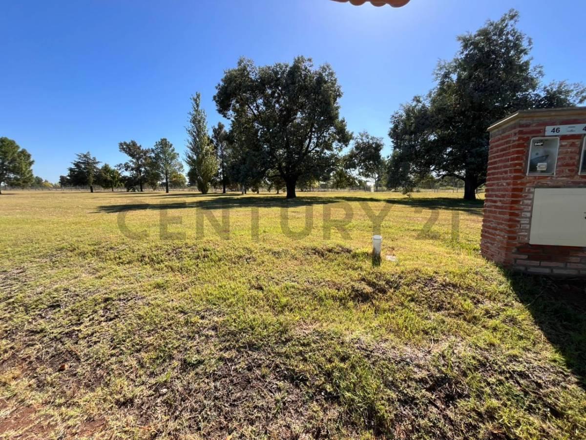 Foto de VENTA LOTE BARRIO CERRADO MIRABOSQUES CARDALES, imagen 5