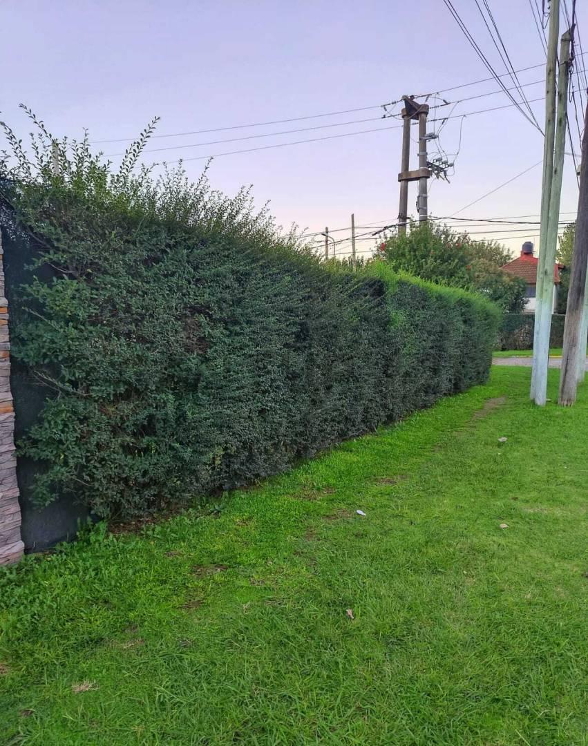 Foto de VENTA LOTE 201M2 TORTUGUITAS - JOSÉ C. PAZ, imagen 4