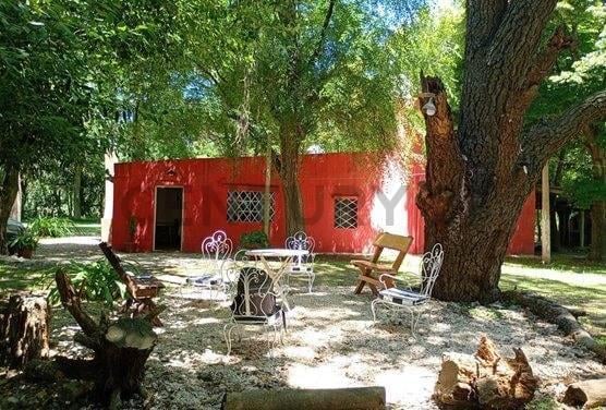 Foto de VENTA QUINTA CON PILETA 3 HECTAREAS EN PILAR, imagen 2