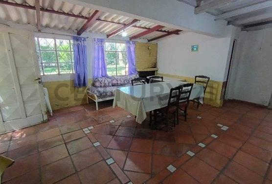 Foto de VENTA QUINTA CON PILETA 3 HECTAREAS EN PILAR, imagen 3