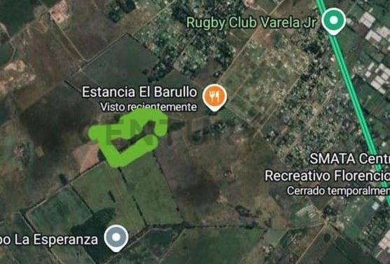 Foto de VENTA 8 HECTAREAS DE CAMPO EN FLORENCIO VARELA - FINANCIACION, imagen 2