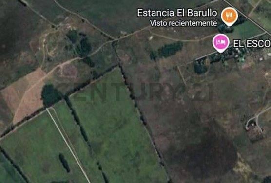 Foto de VENTA 8 HECTAREAS DE CAMPO EN FLORENCIO VARELA - FINANCIACION, imagen 4