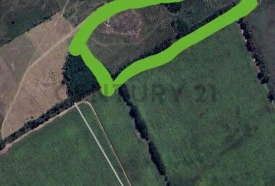 Foto de VENTA 8 HECTAREAS DE CAMPO EN FLORENCIO VARELA - FINANCIACION, imagen 5