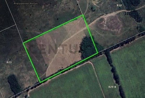 Foto de VENTA 8 HECTAREAS DE CAMPO EN FLORENCIO VARELA - FINANCIACION, imagen 3