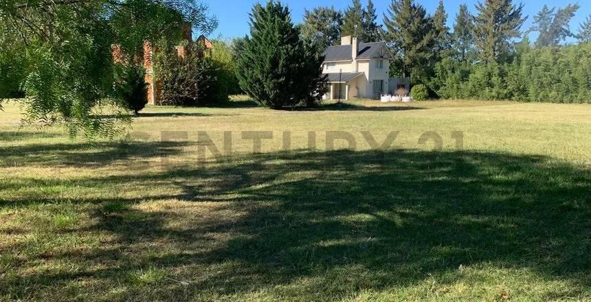 Foto de VENTA LOTE LOS ALAMOS 406 MTS YEI PORA, imagen 3