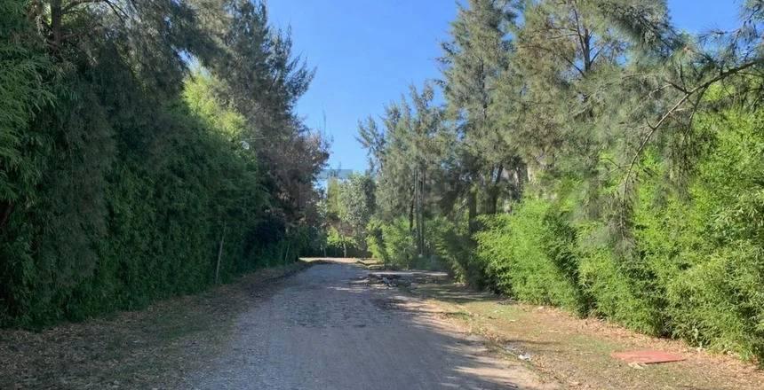 Foto de VENTA LOTE LOS ALAMOS 406 MTS YEI PORA, imagen 5