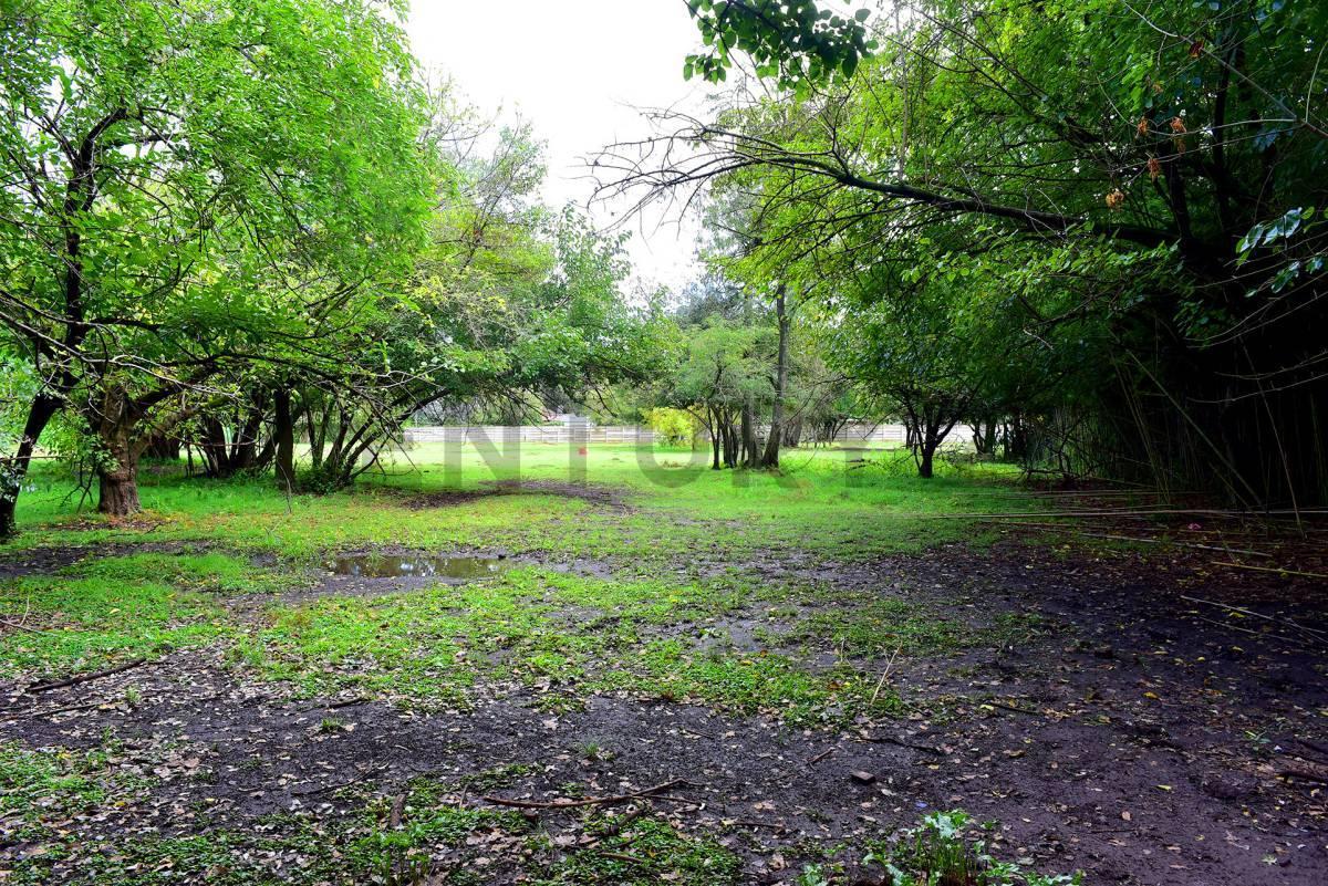 Foto de VENTA LOTE 703.20M2 TORTUGUITAS CENTRO ESCRITURA, imagen 4